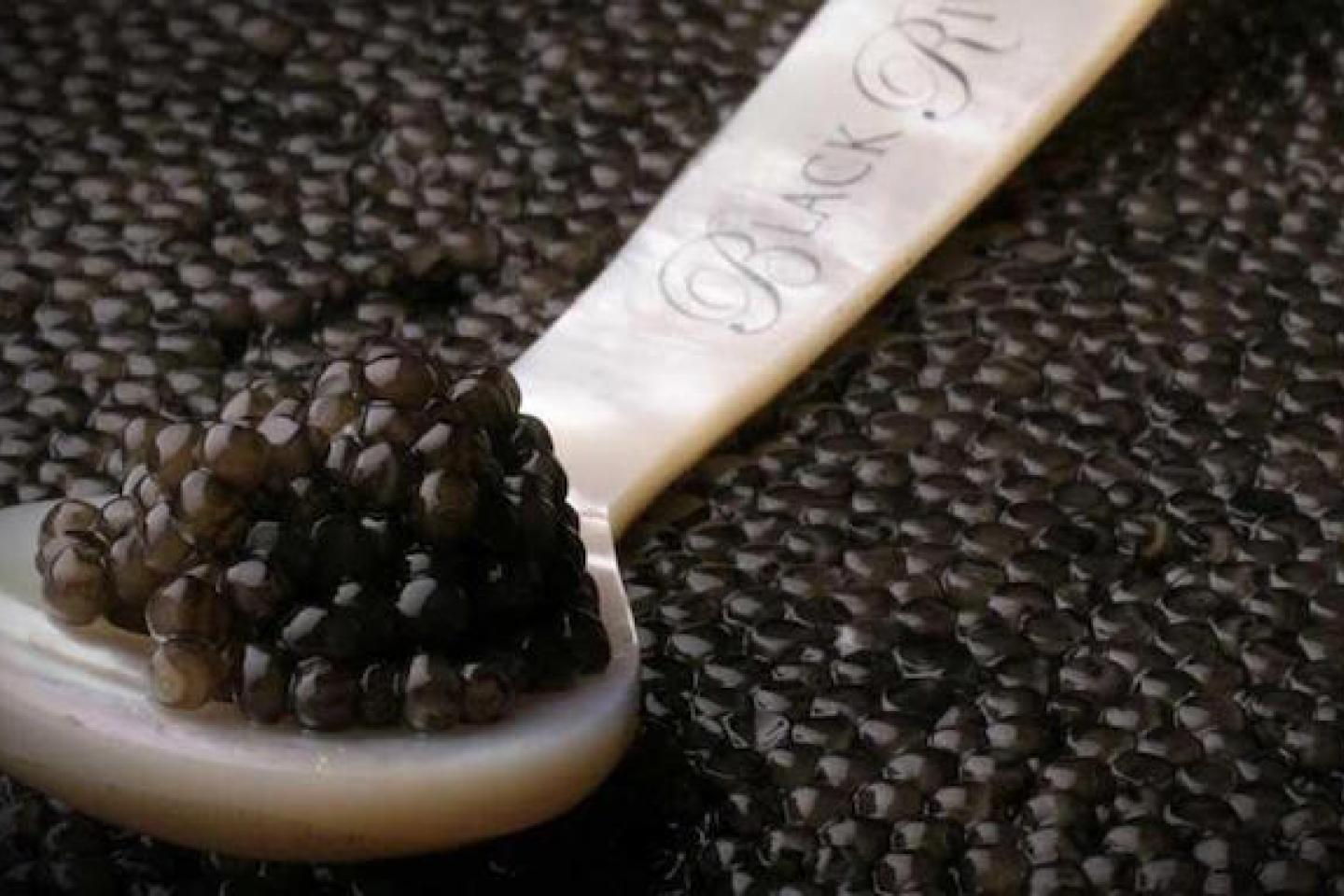 Caviar