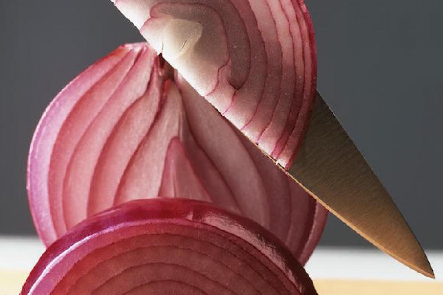 Cebolla