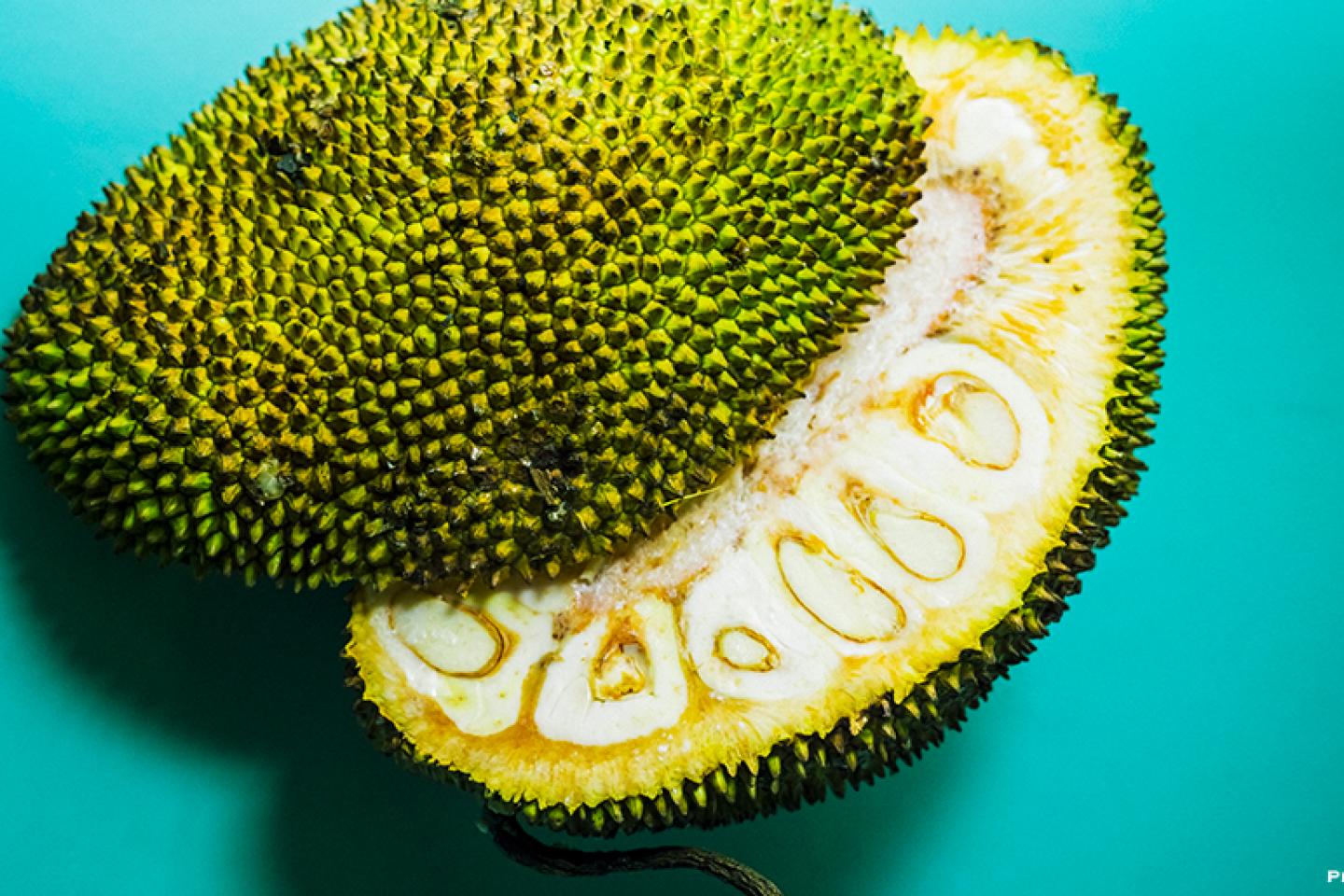 Yaca