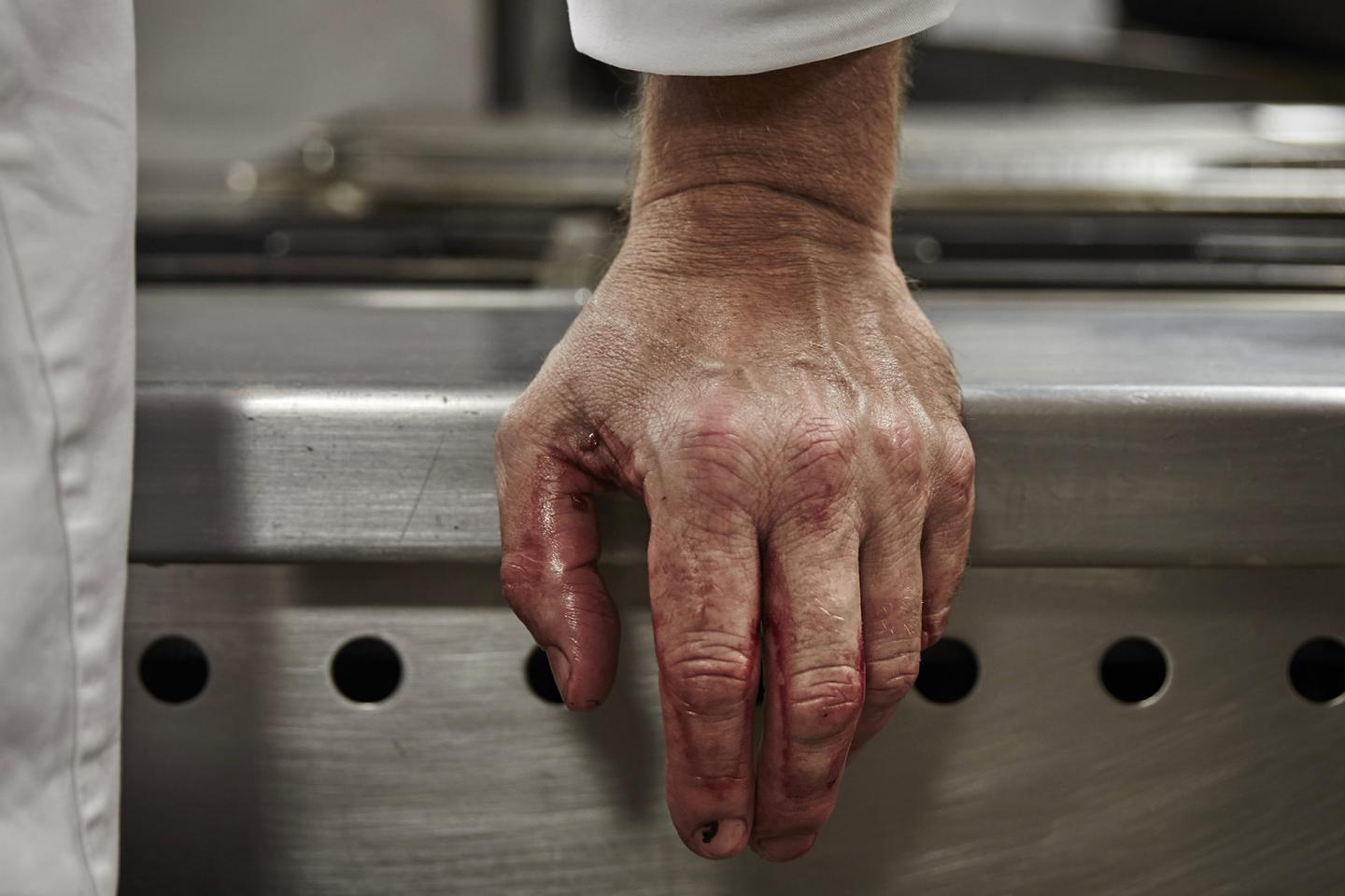 Imagen de Chefs' Hands cortesía de Joakim Blockstrom