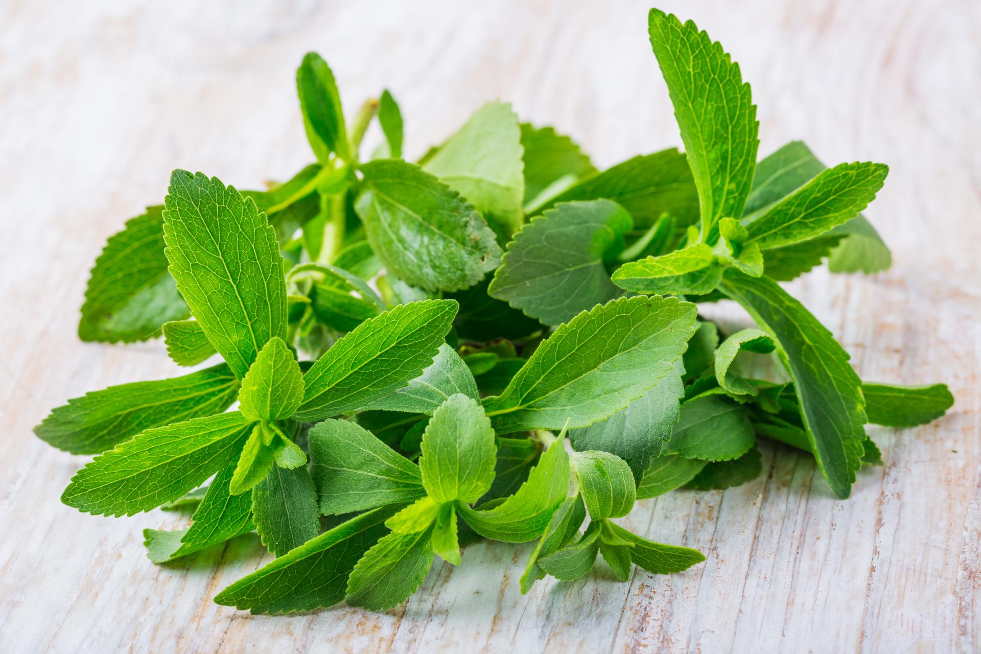 stevia