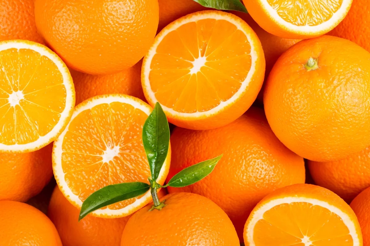 variedades de naranjas