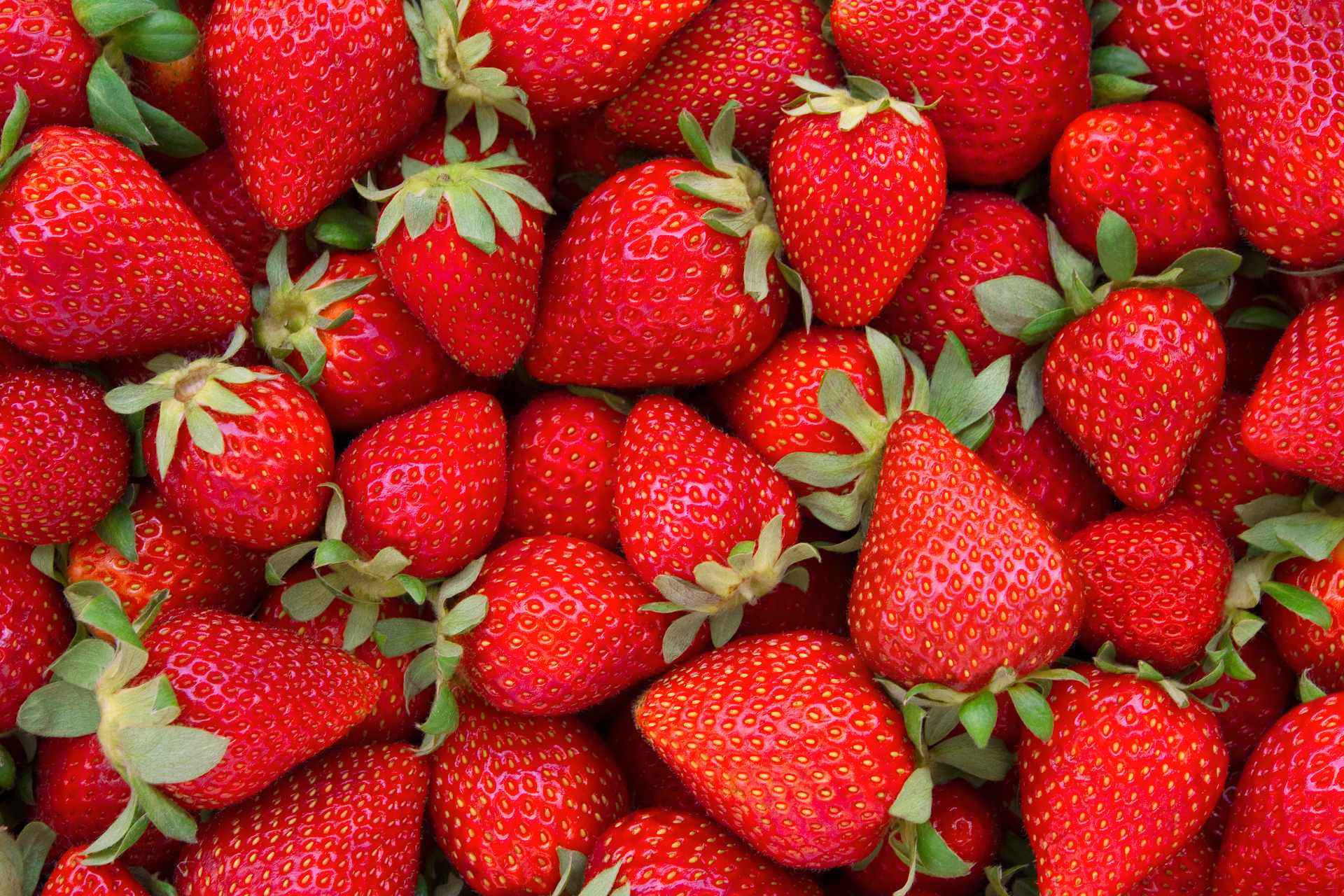 fresas