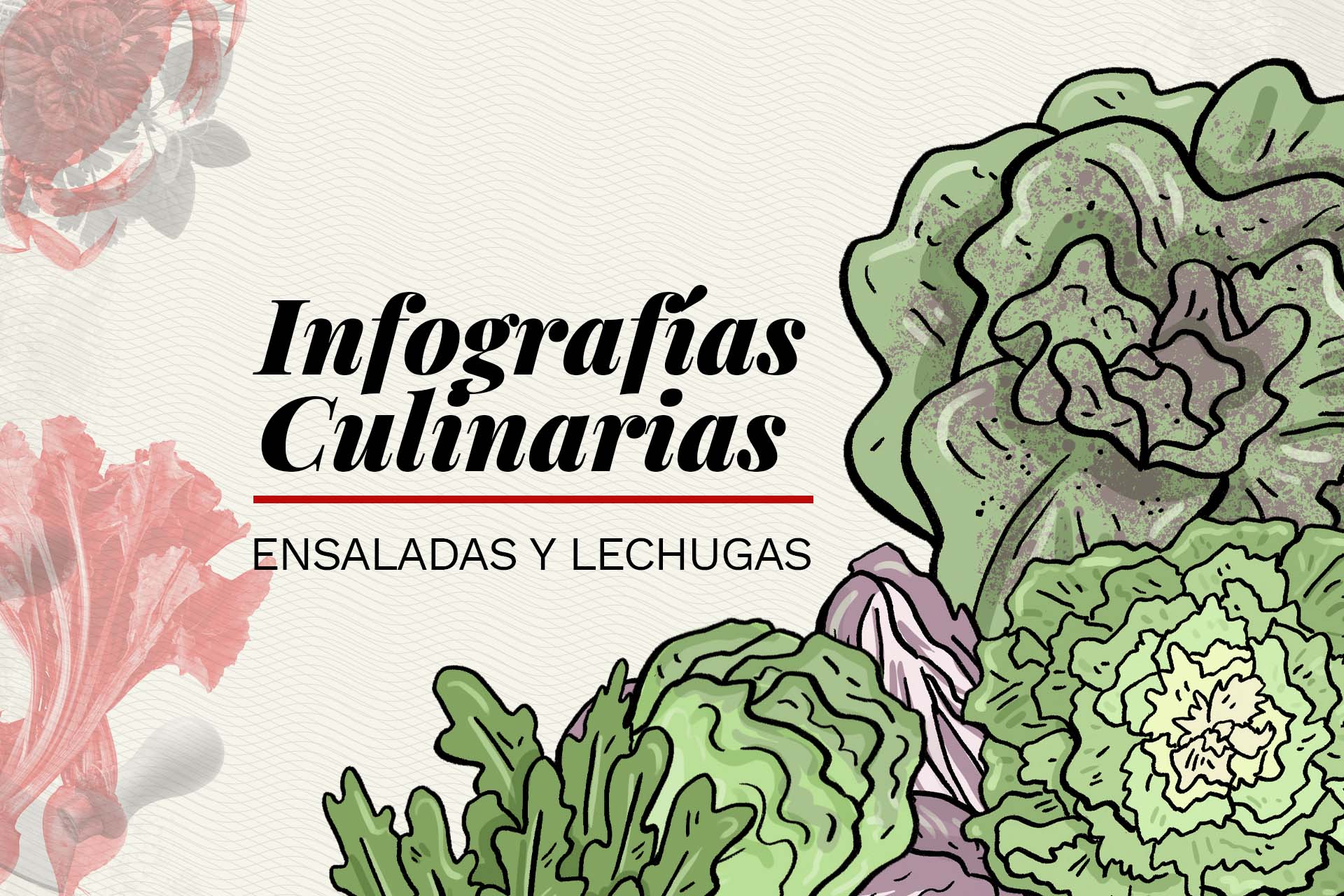 variedades de lechuga infografia