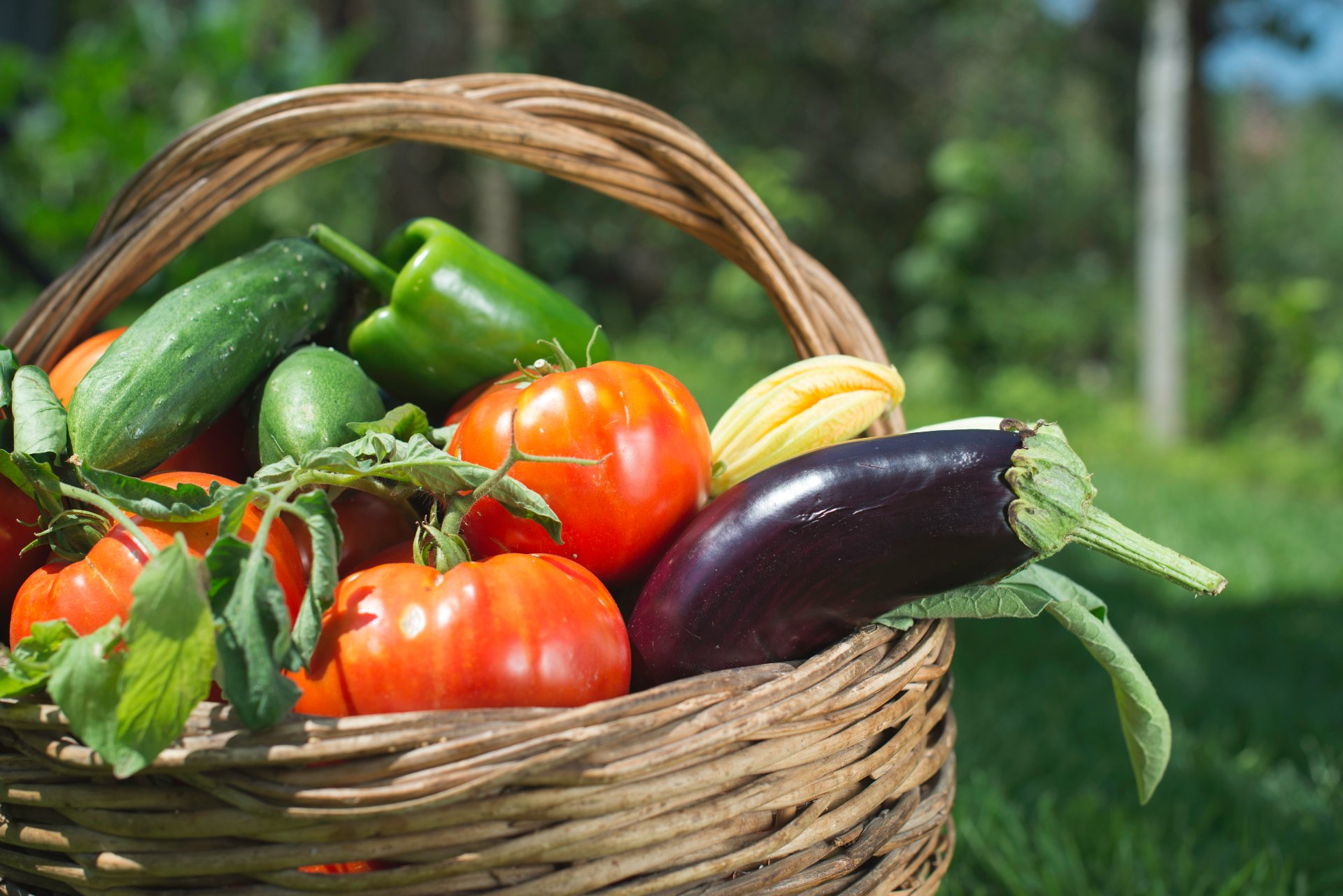 frutas-verduras-en-agosto