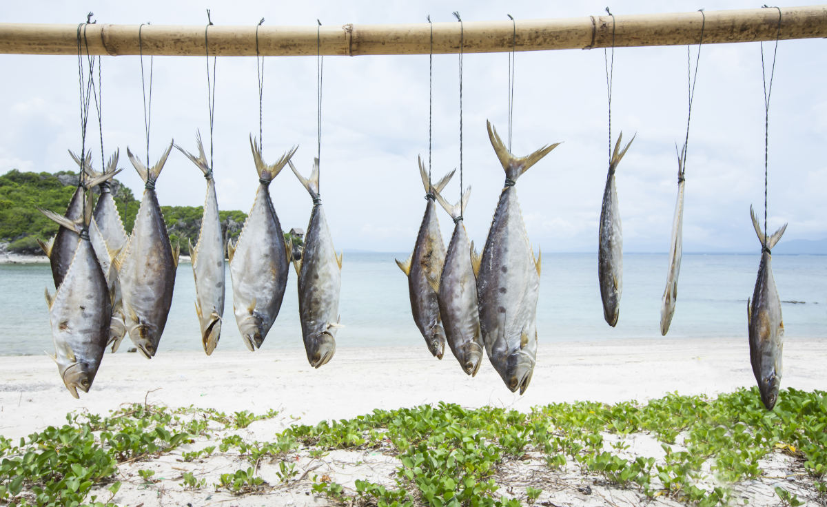 Diferentes tipos de pescado blanco y cómo cocinarlos