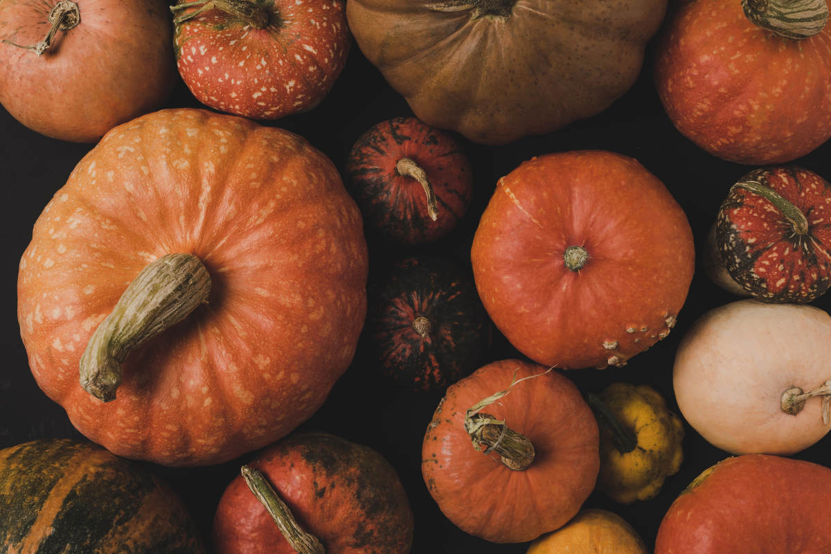 Tipos de calabazas - Fine Dining Lovers