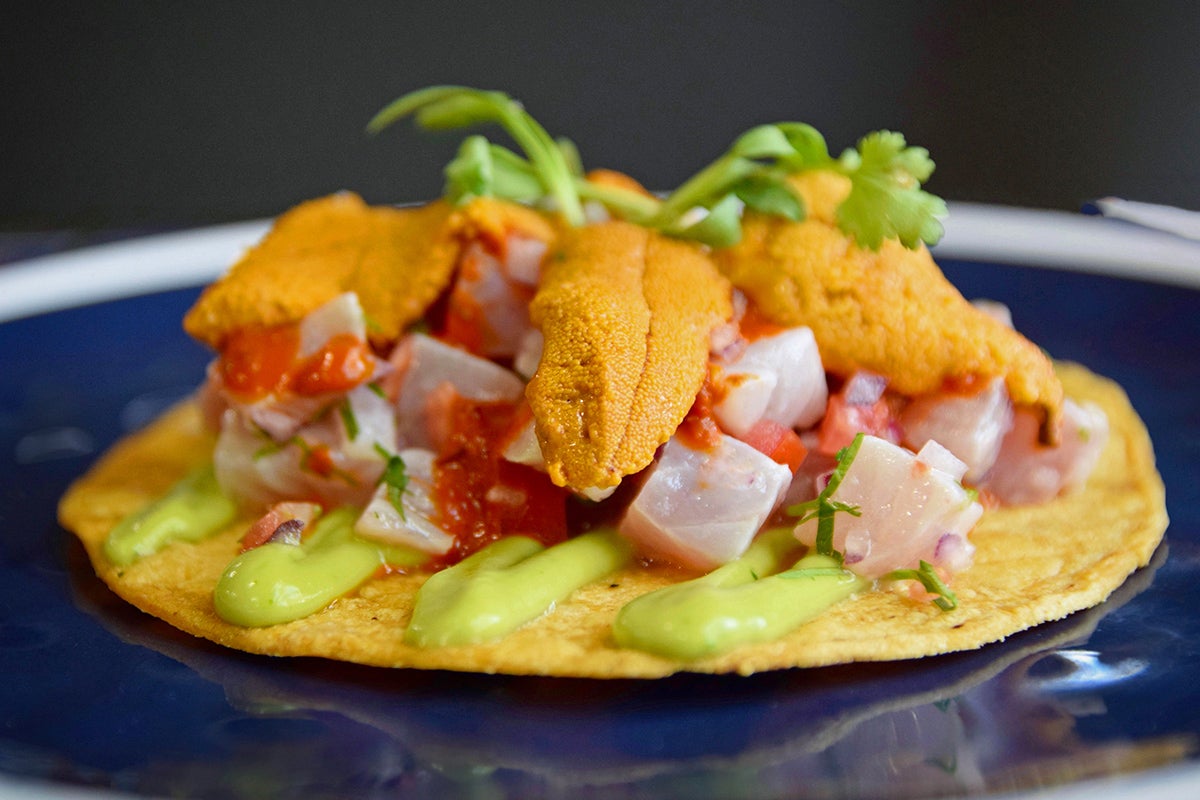 Uni at Holbox.