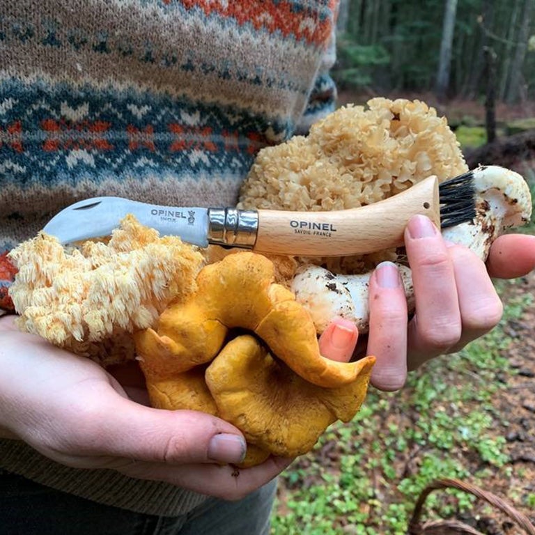 Mushroom knife.