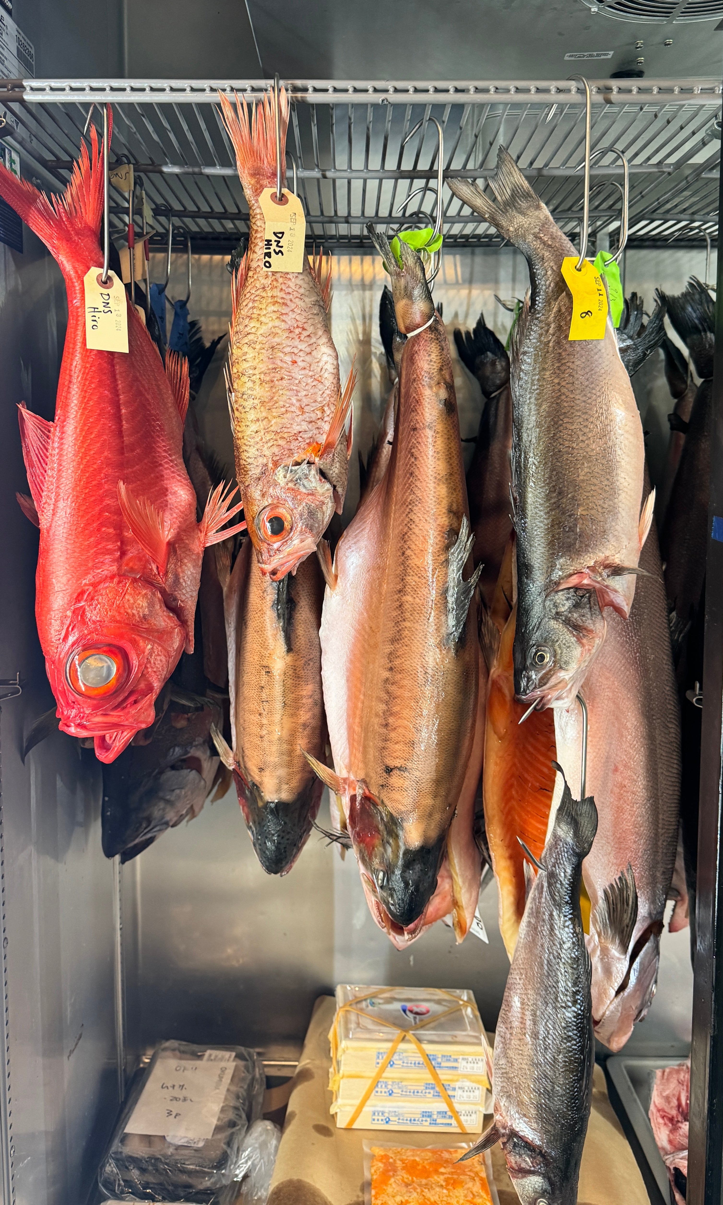 Dry Aging Fish