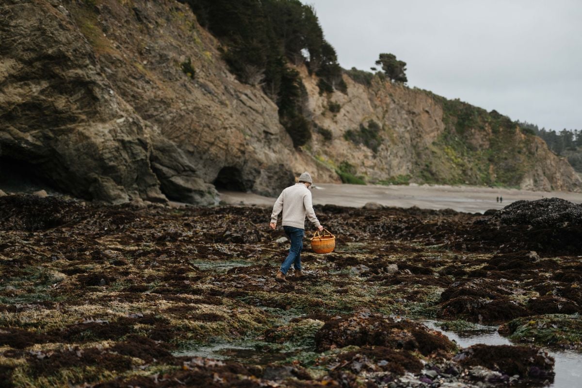 Foraging on the beach.