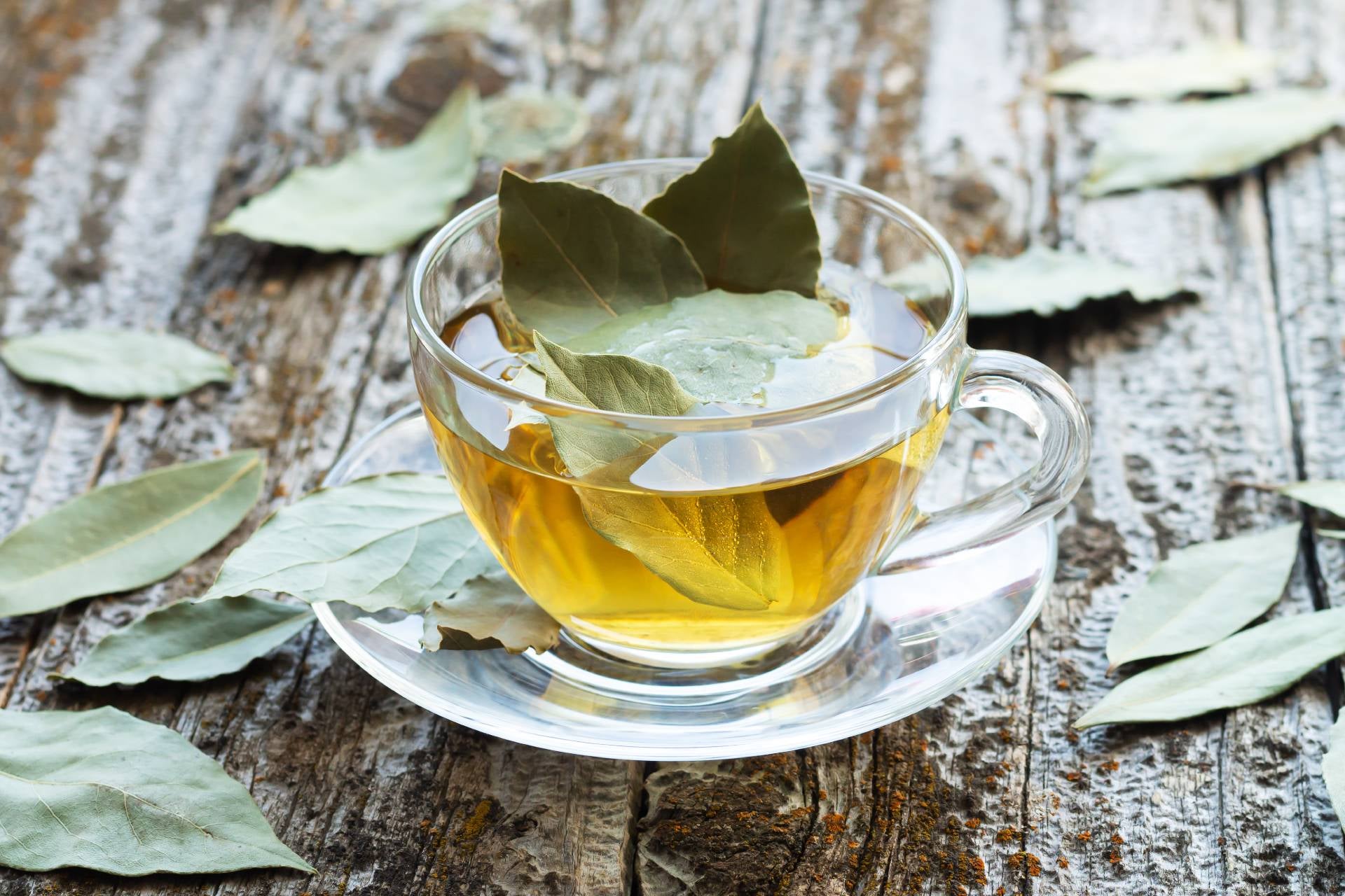 bay-leaves-benefits