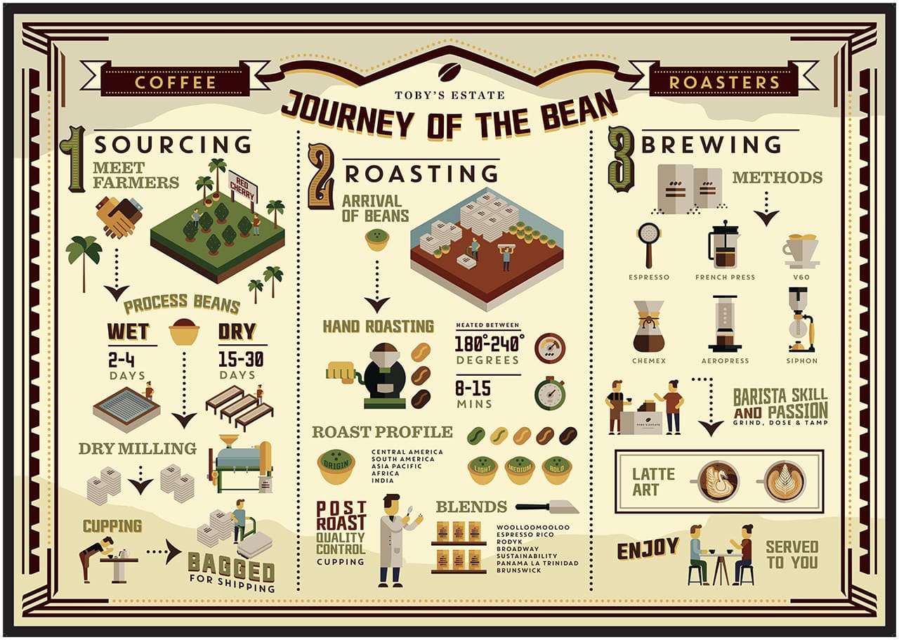 journey of the bean