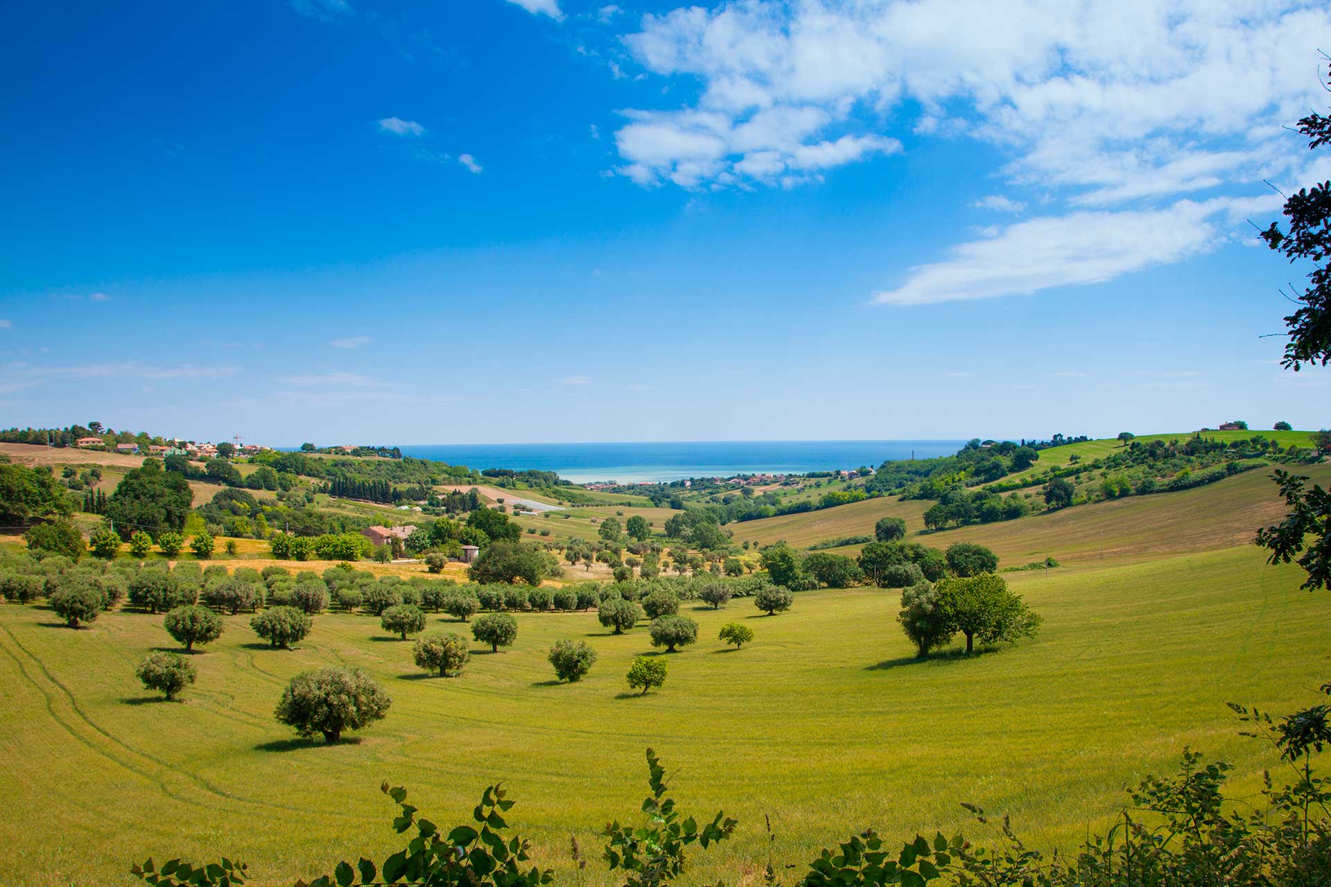 Marche