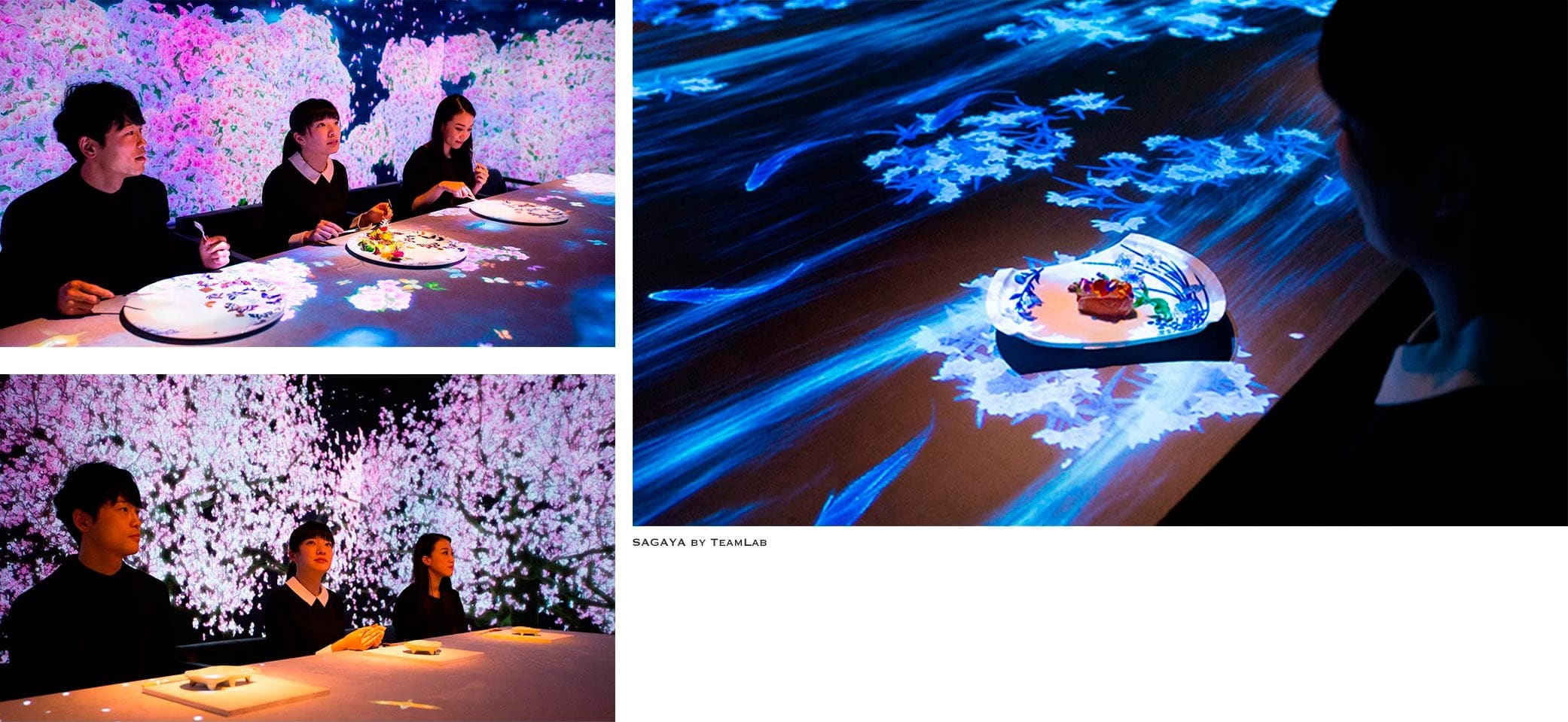TeamLab for Sagaya