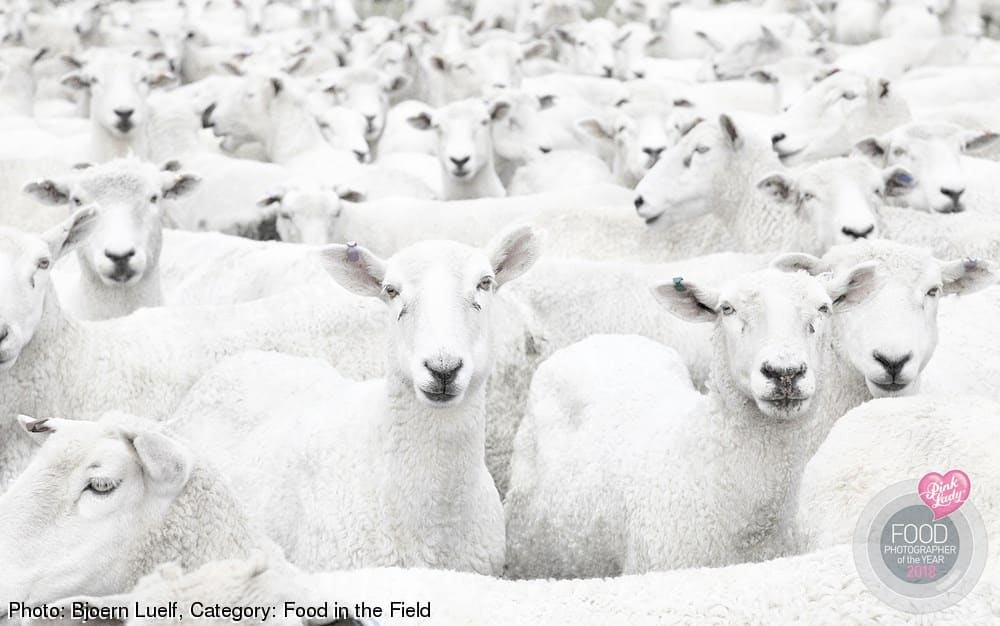 FFood in the Field | Highly Commended: Bjoern Luelf