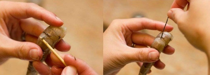 Deveining Shrimp