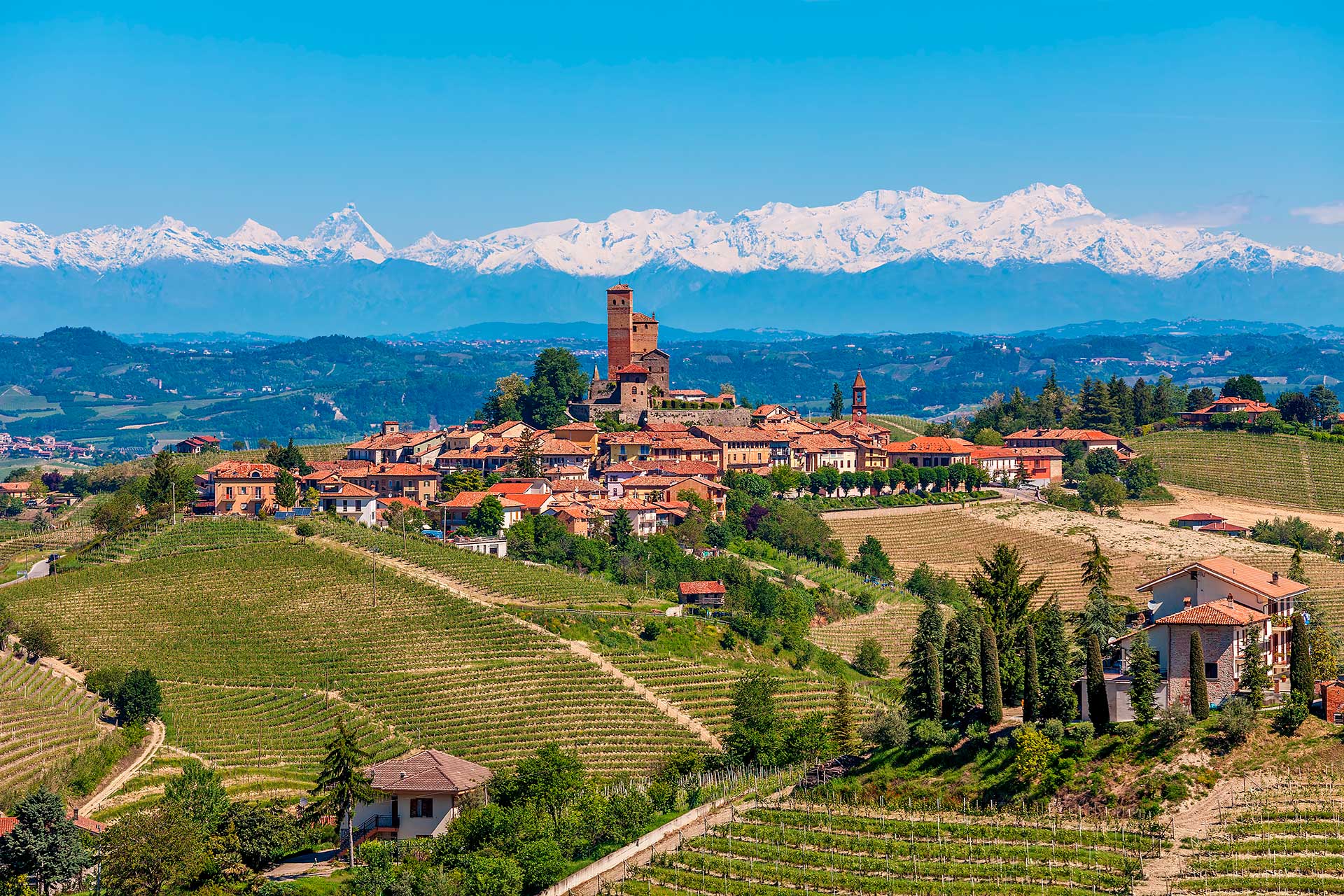 Piedmont