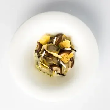 Black Truffle Pillows