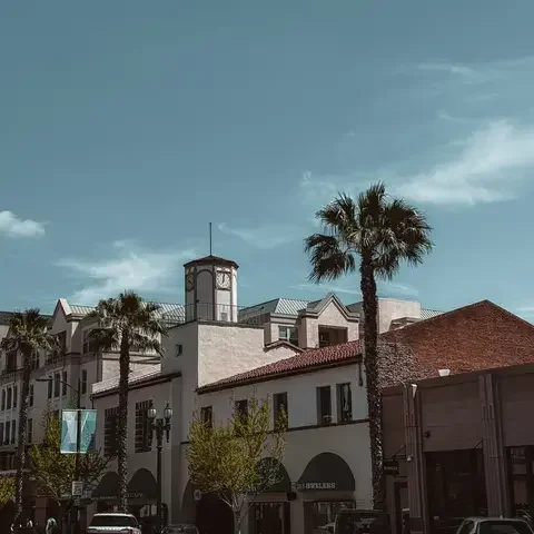 A charming street scene featuring a clock tower atop a historic building, palm trees lining the road, and a few parked cars.