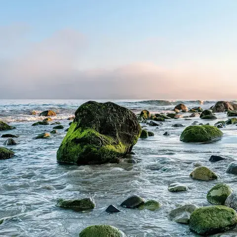 Rocky shoreline with green moss-covered stones in shallow water, gentle waves, and a hazy sky at sunset