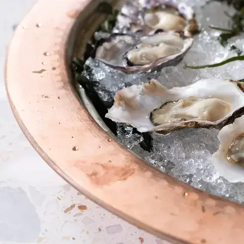 Dalida Oysters