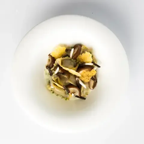 Black Truffle Pillows