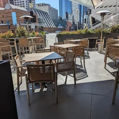 asterid by Ray Garcia