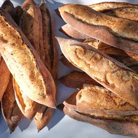 Bread Shop