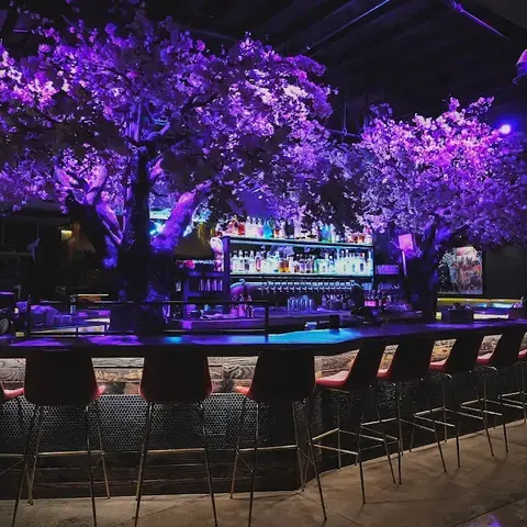 Cloak and Petal Little Italy