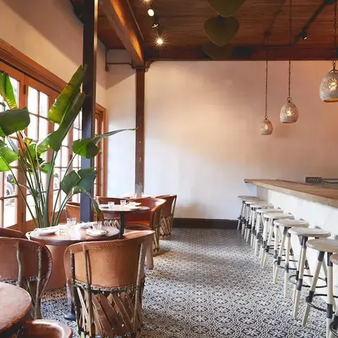 Flores San Francisco