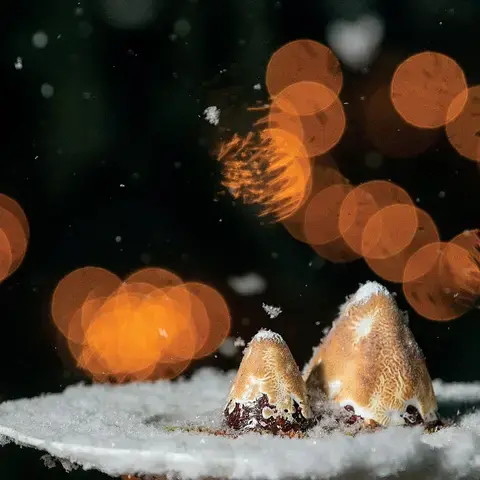 Splendido At The Chateau