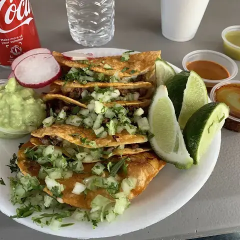 Tacos y Birria La Unica