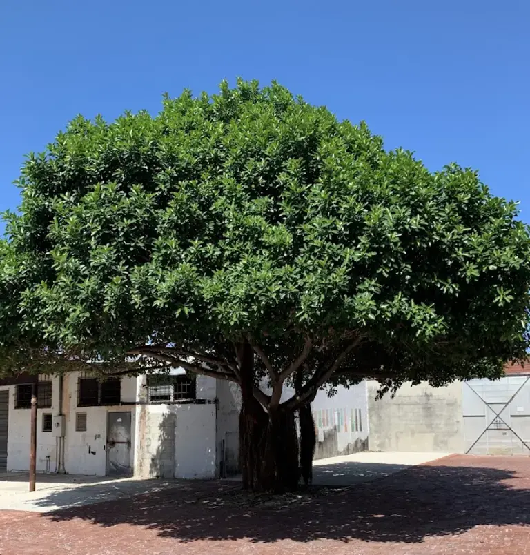 Sunny’s Steakhouse