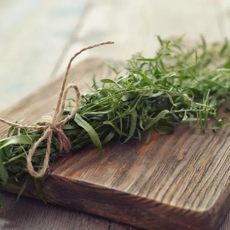 tarragon recipes - Fine Dining Lovers