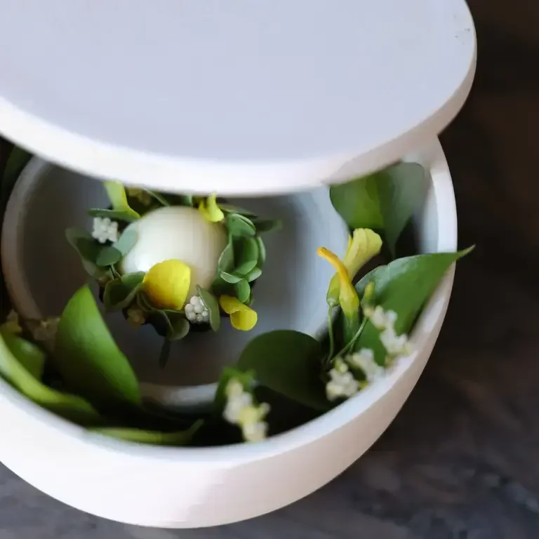 Vin Jaune Tartelette