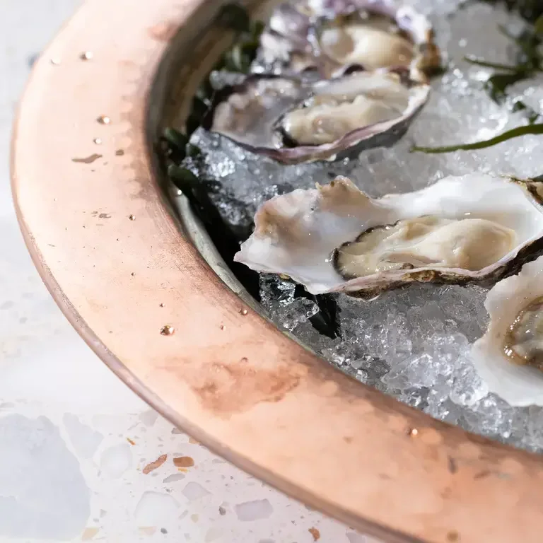 Dalida Oysters