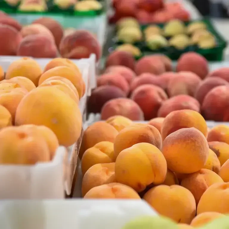 Ferry Plaza Farmers Market