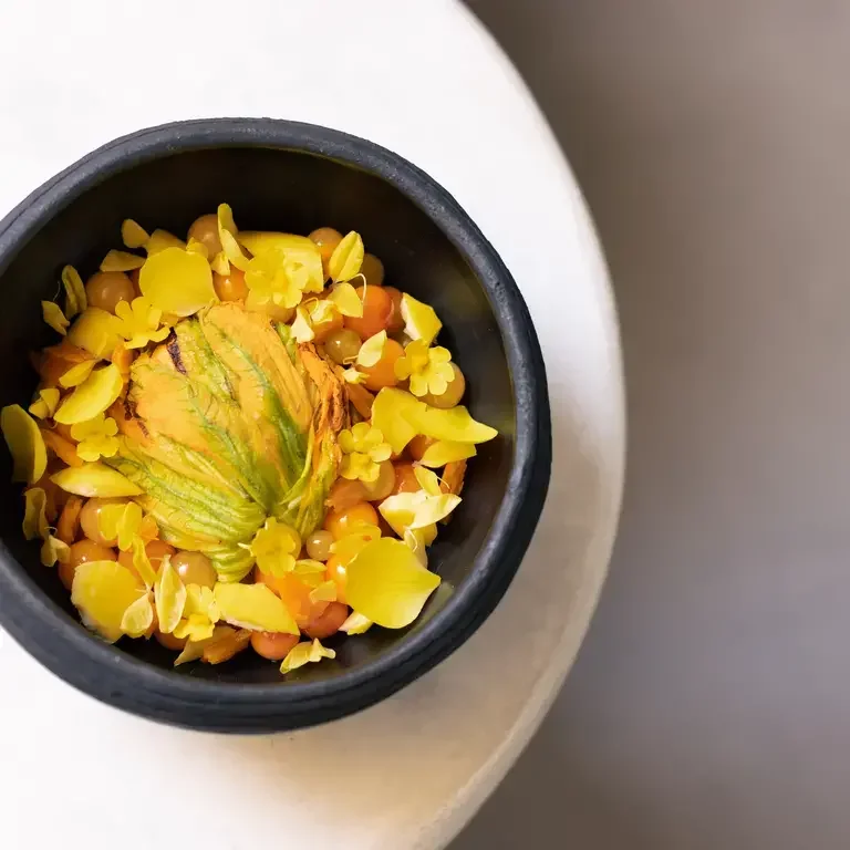 Gooseberry at Meteora