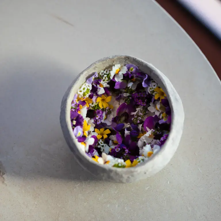 Spring at Vespertine