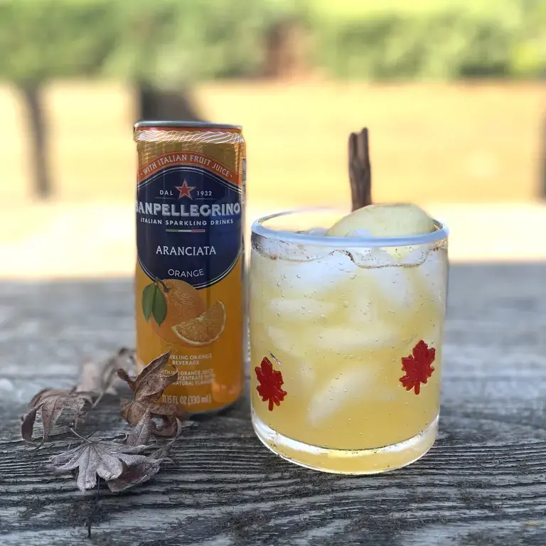 Autumn Citrus and Spice Spritz