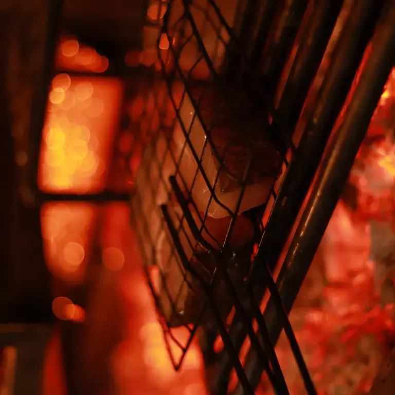 Alto Live Fire Cooking