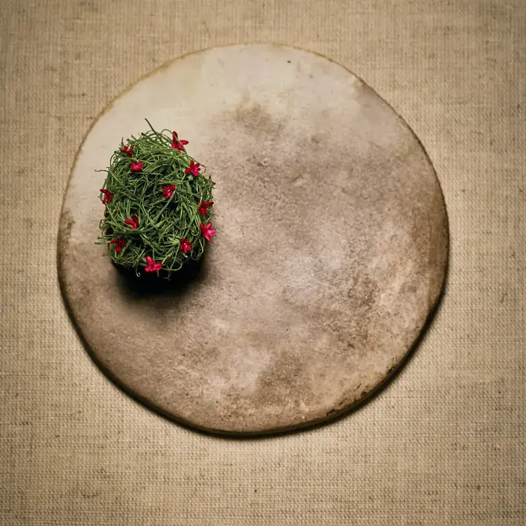 Smoked and Dried Lamb Heart