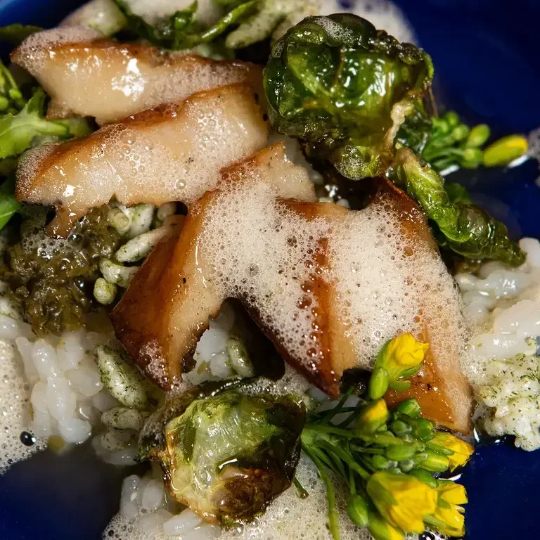 Abalone in February 2026