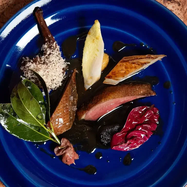 Squab in February 2026