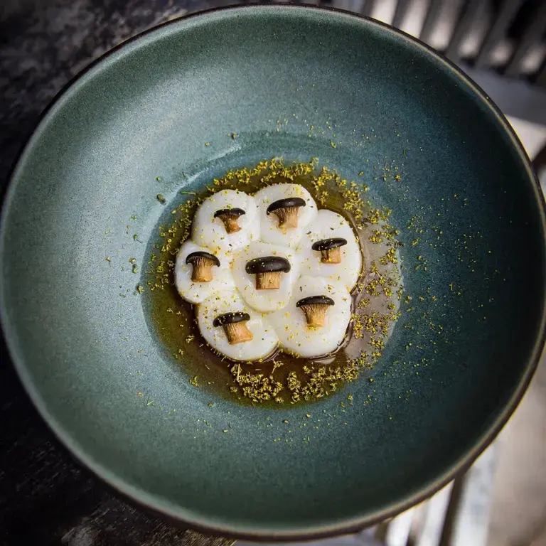 Day Boat Scallop Crudo, Pickled Black Pearl Mushrooms, Dill Pollen