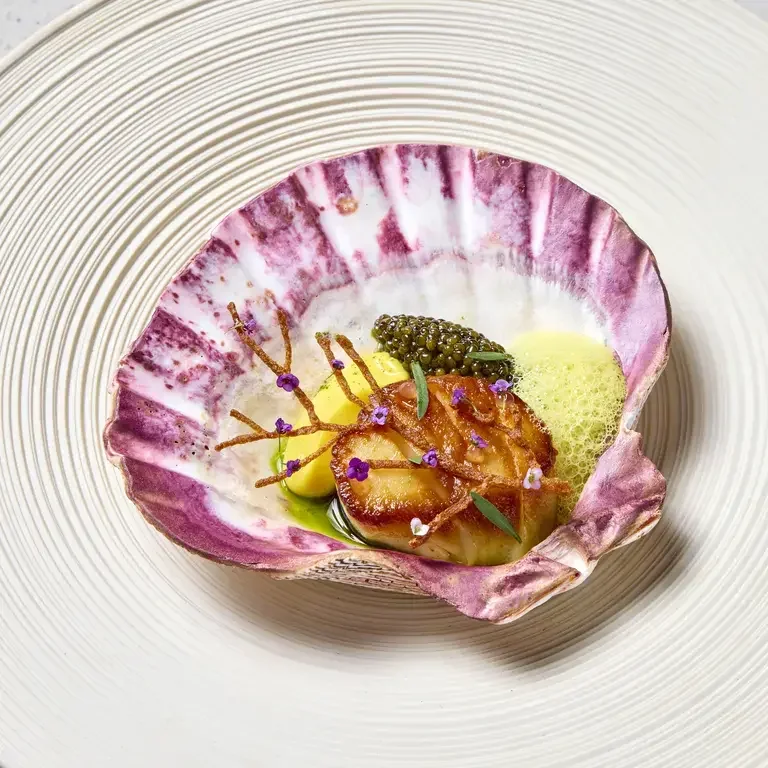 Scallop Xec Xec
