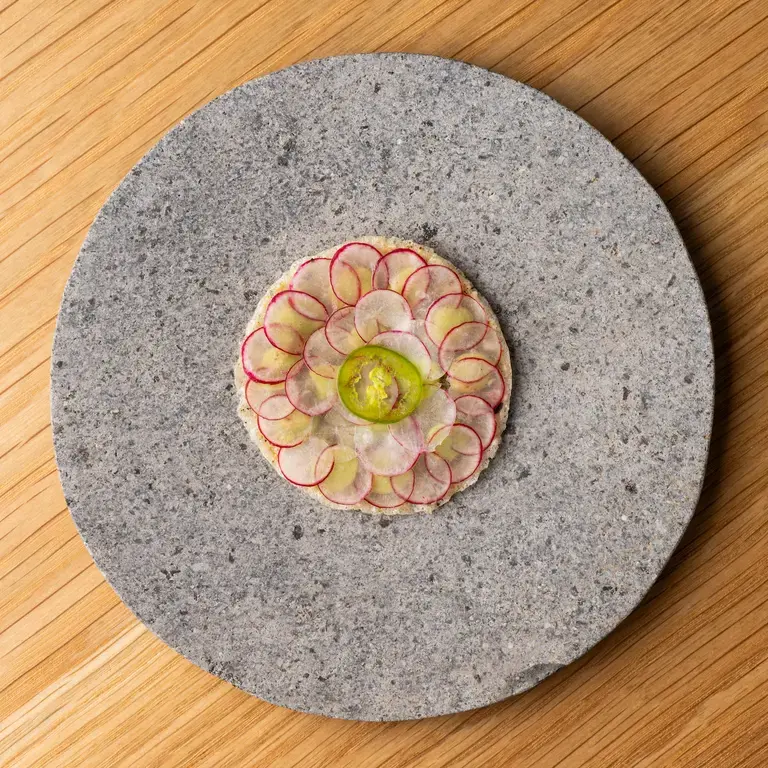 Puffed Brown Rice Cracker and Avocado Radish at Jacaranda