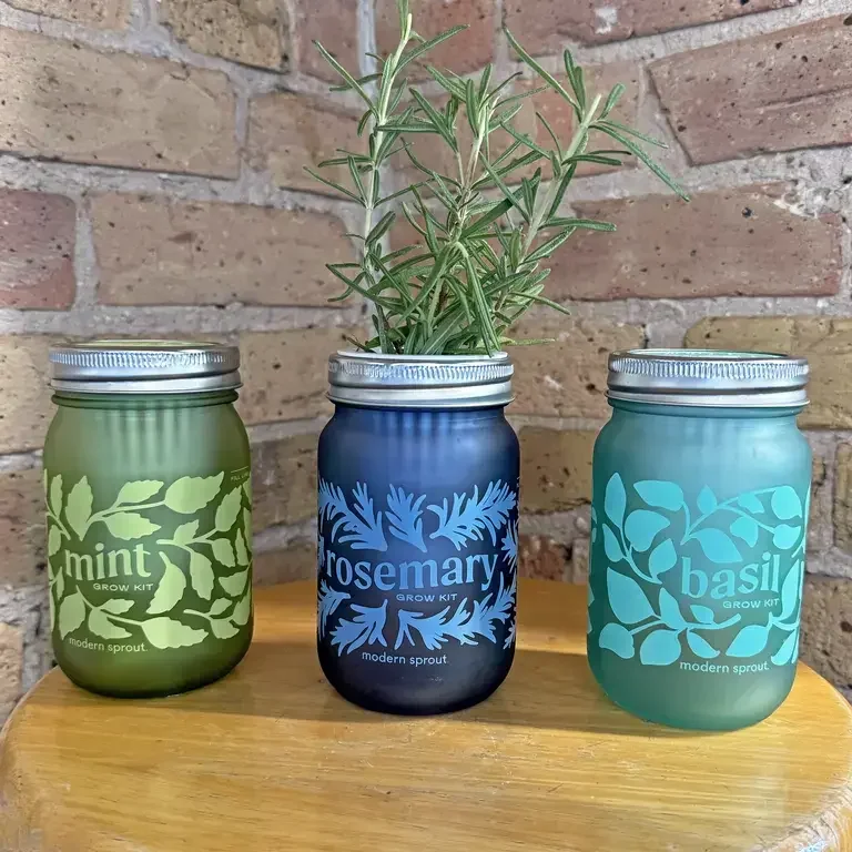 Modern Sprout Garden Jars + Botanical Keeper