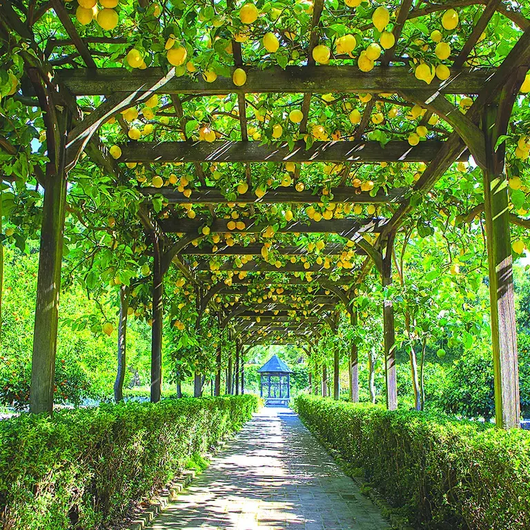 Garden to Glass at SBCE
